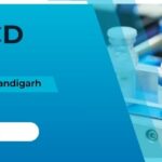 Top 10 PCD Pharma Franchise Companies in Chandigarh