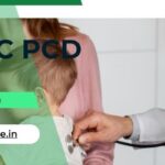 5 Best PCD Pharma Franchise Companies in Himachal Pradesh