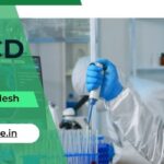 5 Best PCD Pharma Franchise Companies in Himachal Pradesh